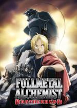fullmetal_alchemist_brotherhood-748146576-msmall.jpg