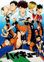 haikyuu-446939831-msmall.jpg